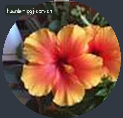 陈芳