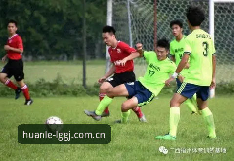 揭秘乐冠体育平台最新版本下载背后的真相：新手必读指南